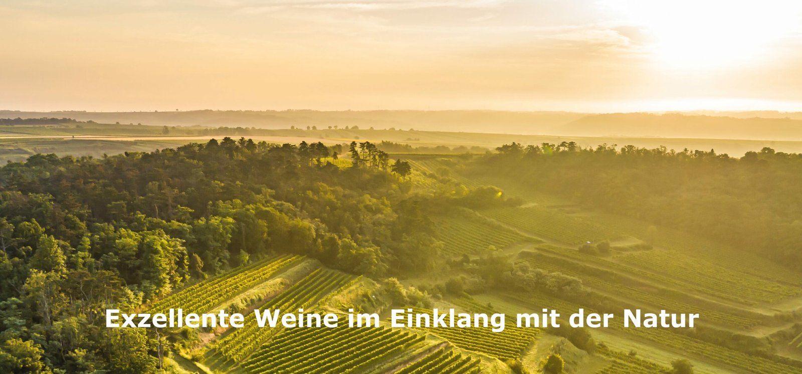 Lebenskosten in der Schweiz – Miete, Krankenkasse, Steuern
